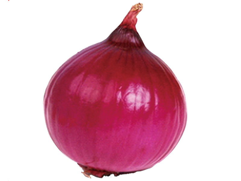 83ed89cb871861c982e0b32d5c7386f2